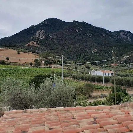 Piu A 5 Minuti Dal Mare *